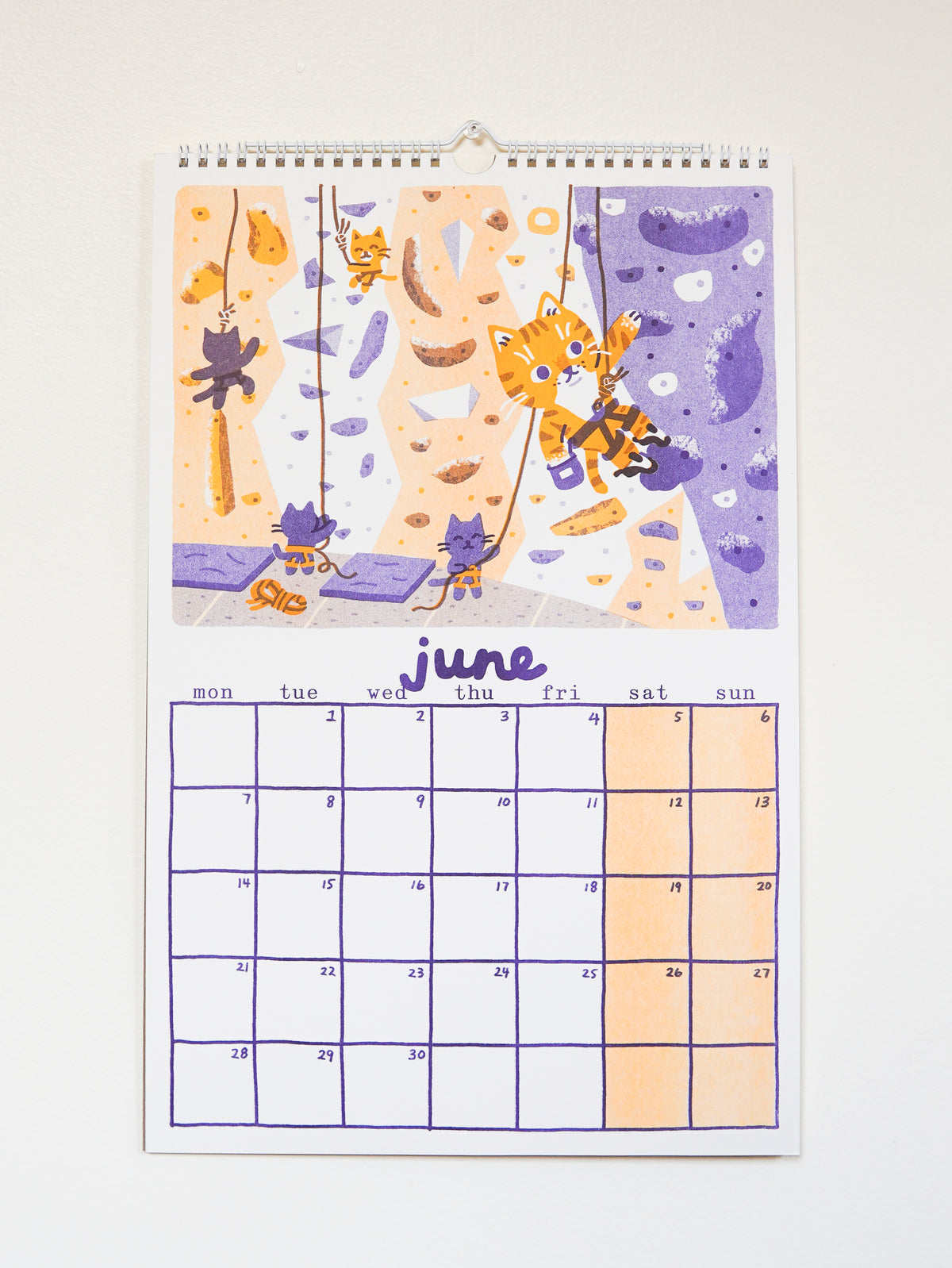 PRE-ORDER 2027 Risograph Cat Calendar