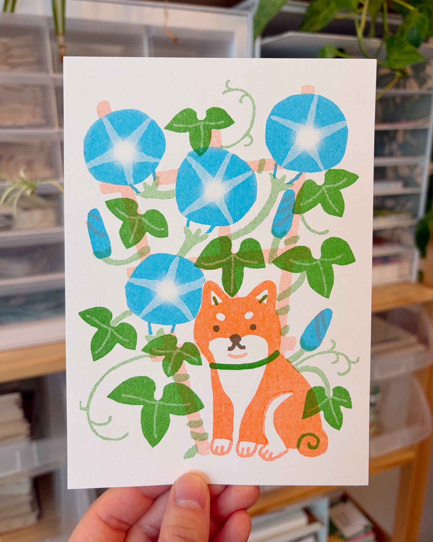 Shiba Inu Riso Print